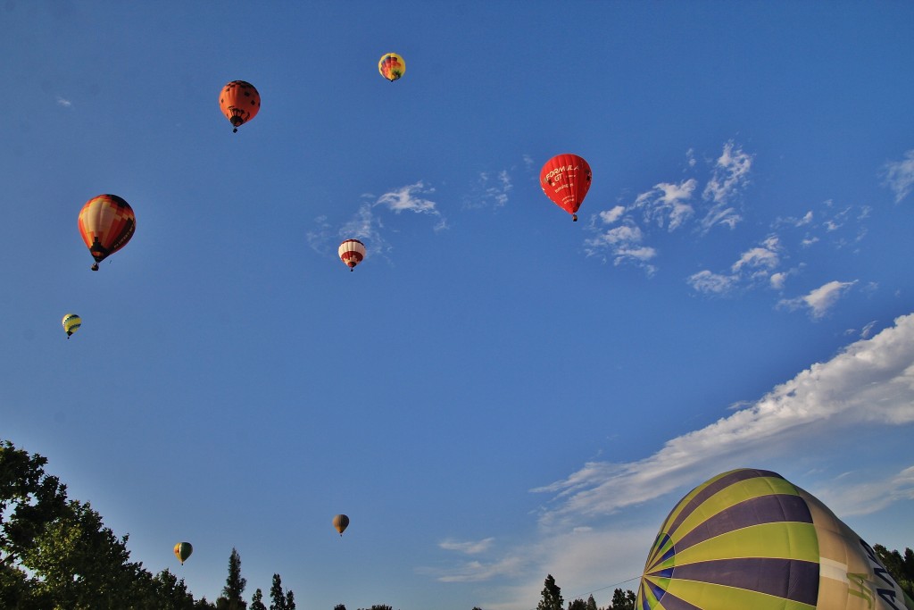 Foto: Concurso de globos - Igualada (Barcelona), España
