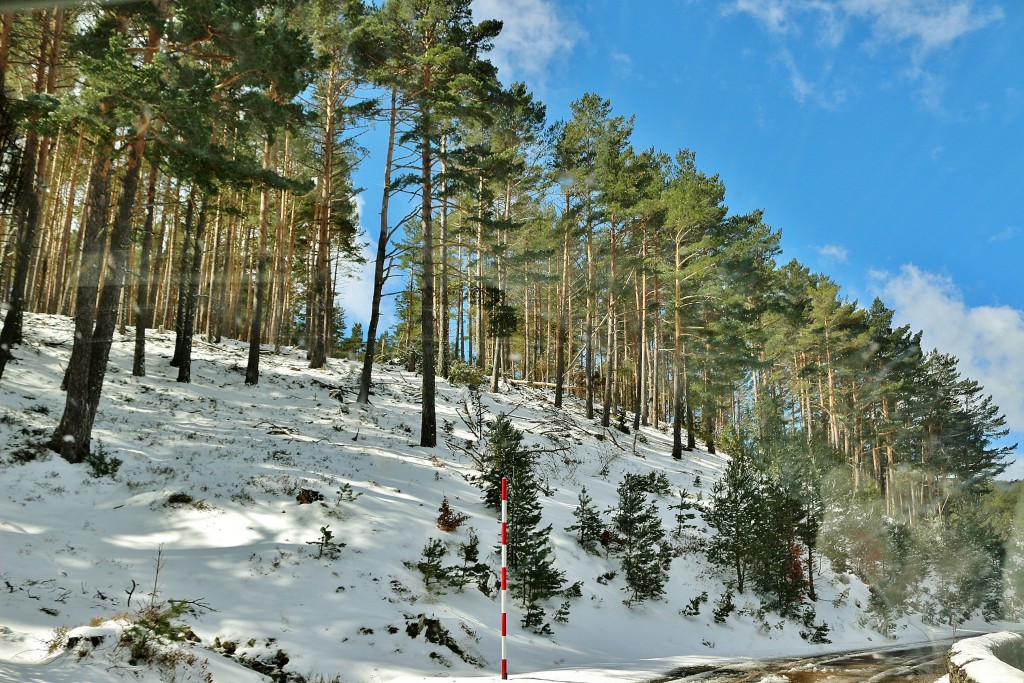 Foto: Paisaje - Lumbreras (La Rioja), España