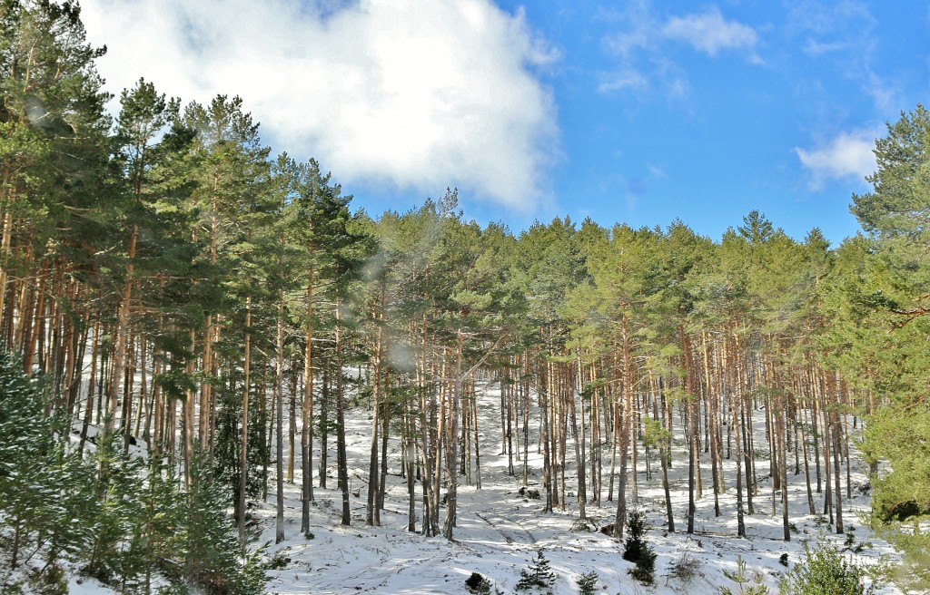 Foto: Paisaje - Lumbreras (La Rioja), España
