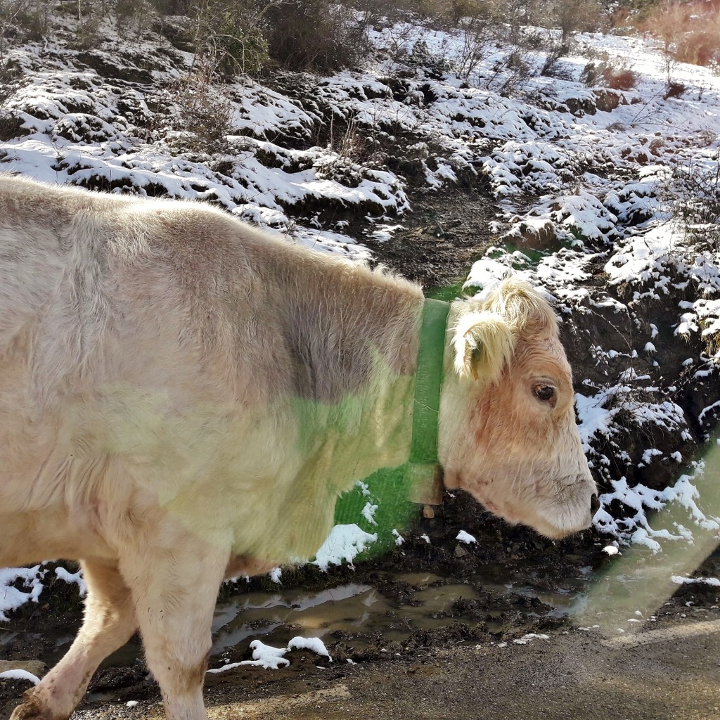 Foto: Embalse de Pajares - Lumbreras (La Rioja), España