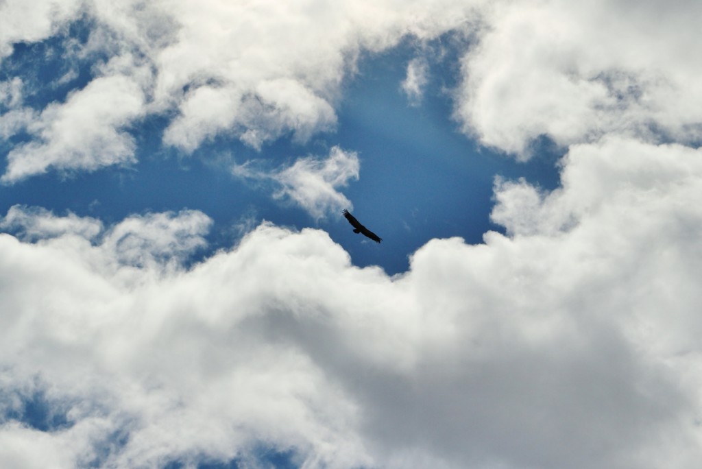 Foto: Paisaje - Lumbreras (La Rioja), España