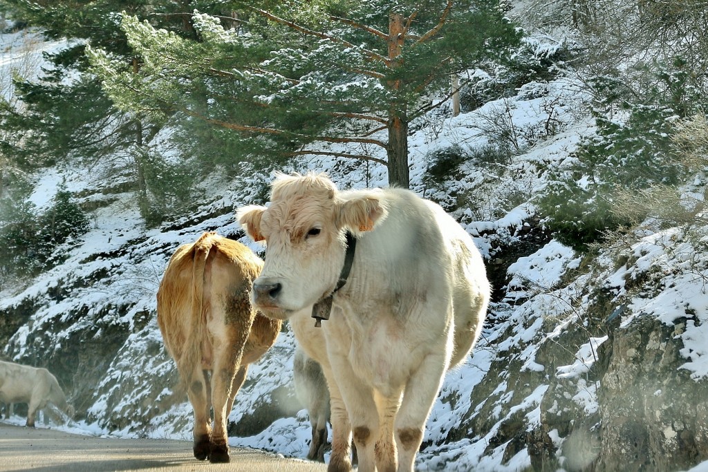 Foto: Embalse de Pajares - Lumbreras (La Rioja), España
