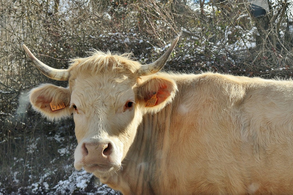 Foto: Embalse de Pajares - Lumbreras (La Rioja), España