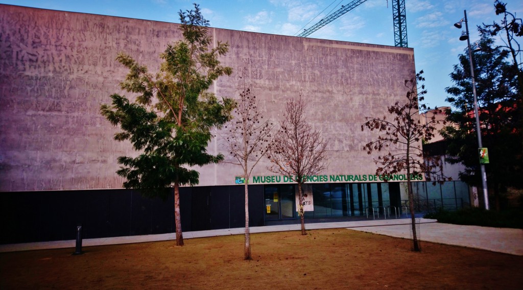 Foto: Museu de Ciències Naturals - Granollers (Barcelona), España