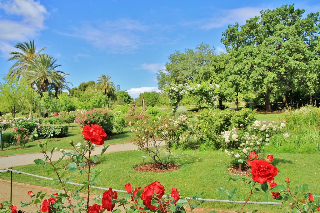 Foto: Parque Cervantes - Barcelona (Cataluña), España