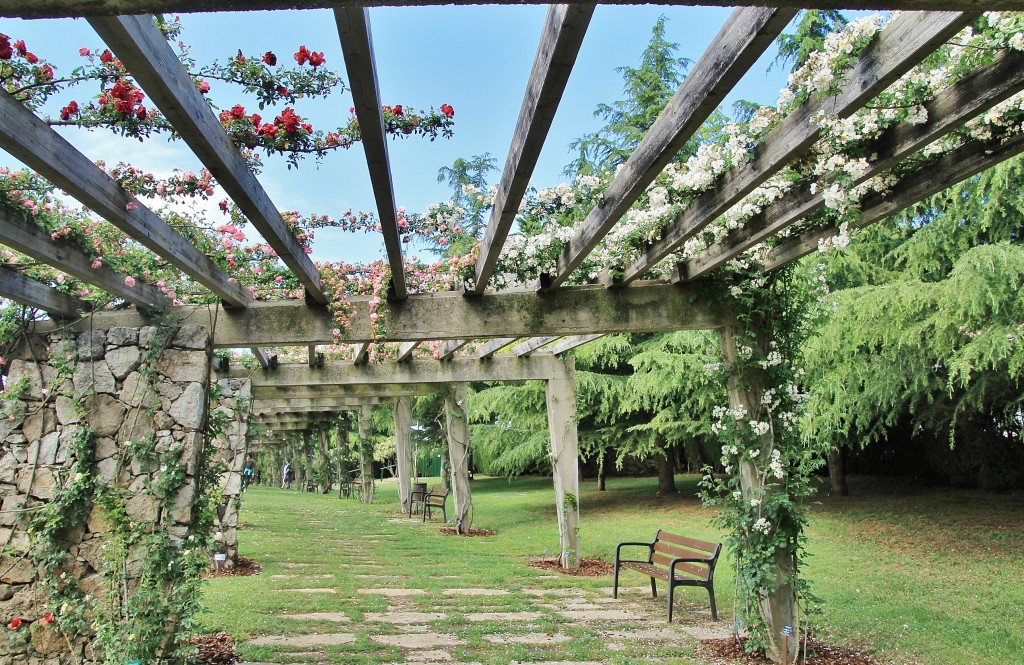 Foto: Parque Cervantes - Barcelona (Cataluña), España