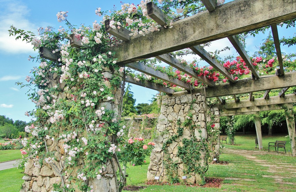 Foto: Parque Cervantes - Barcelona (Cataluña), España