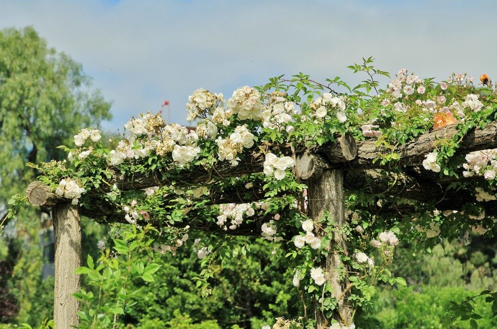 Foto: Parque Cervantes - Barcelona (Cataluña), España