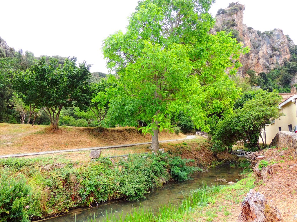 Foto de Tobera (Burgos), España