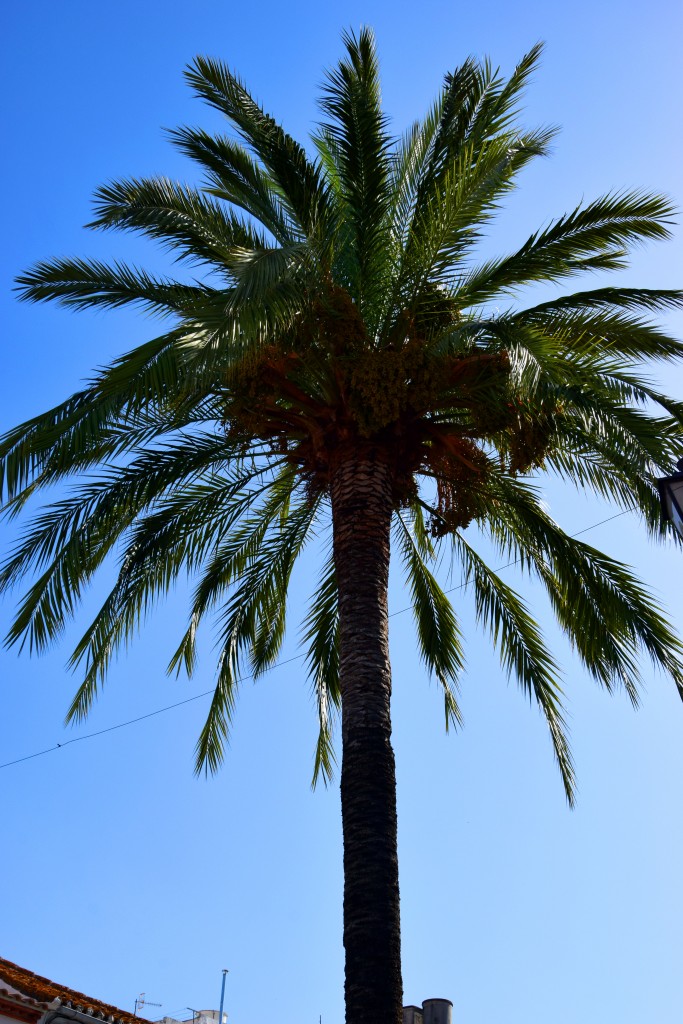 Foto de Casabermeja (Málaga), España