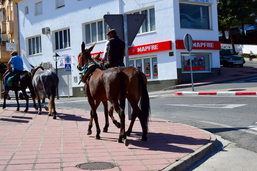 Foto de Casabermeja (Málaga), España