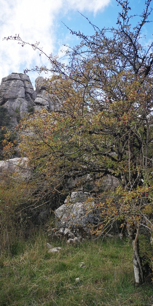 Foto de El Torcal (Málaga), España