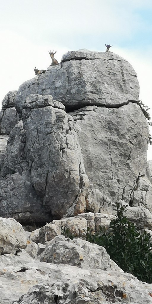 Foto de El Torcal (Málaga), España