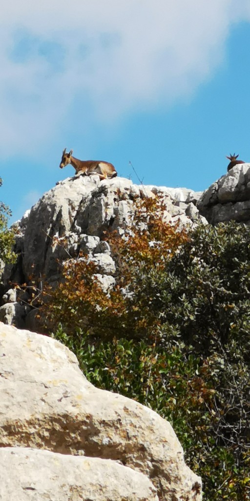Foto de El Torcal (Málaga), España