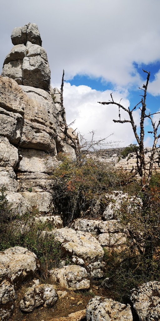 Foto de El Torcal (Málaga), España