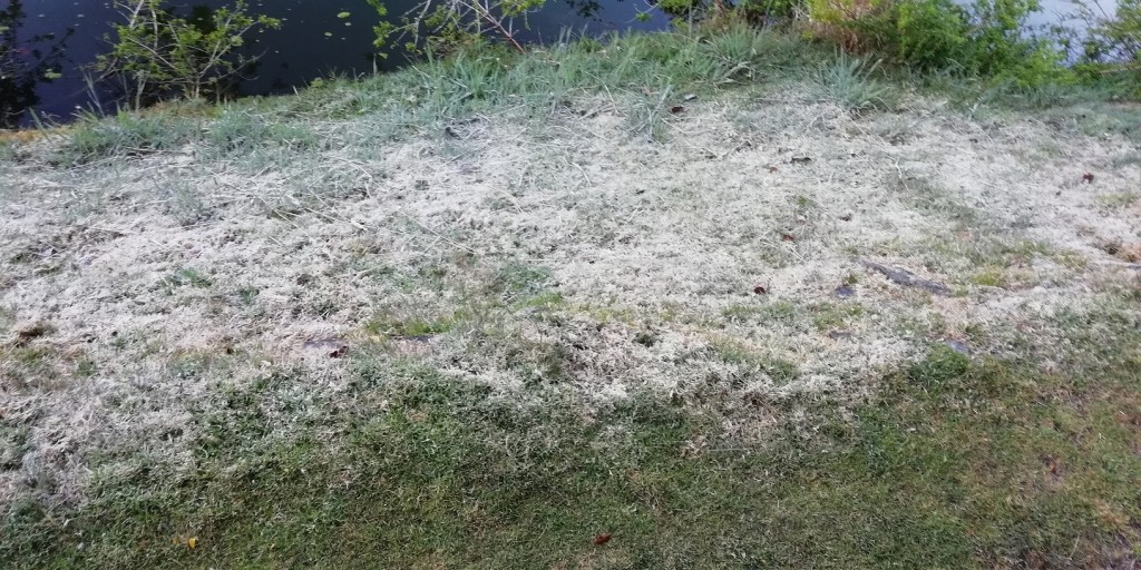 Foto de Ojo de Agua de Dota (San José), Costa Rica