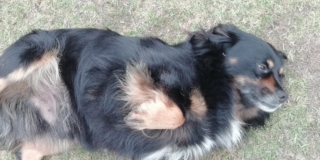 Foto de Ojo de Agua de Dota (San José), Costa Rica