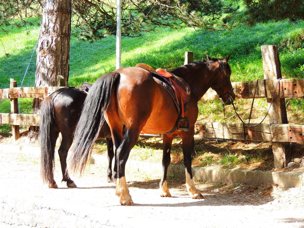 Foto de Fuente dé (Cantabria), España