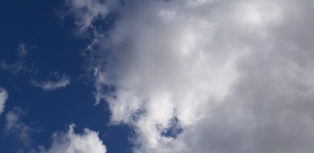 Foto de Grazalema (Cádiz), España