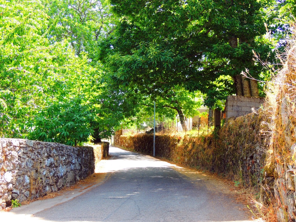 Foto de La Alberca (Cáceres), España