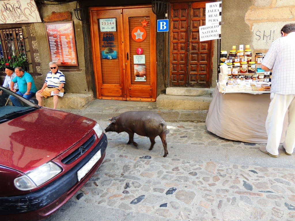 Foto de La Alberca (Cáceres), España