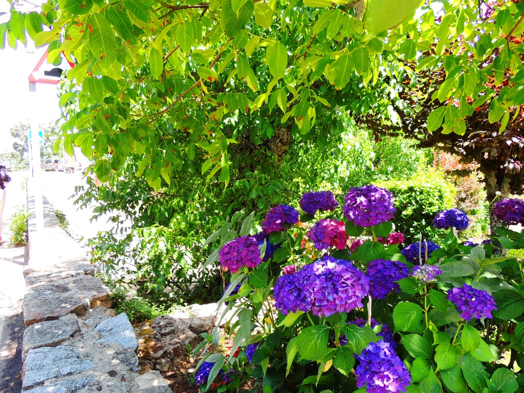 Foto de La Alberca (Cáceres), España