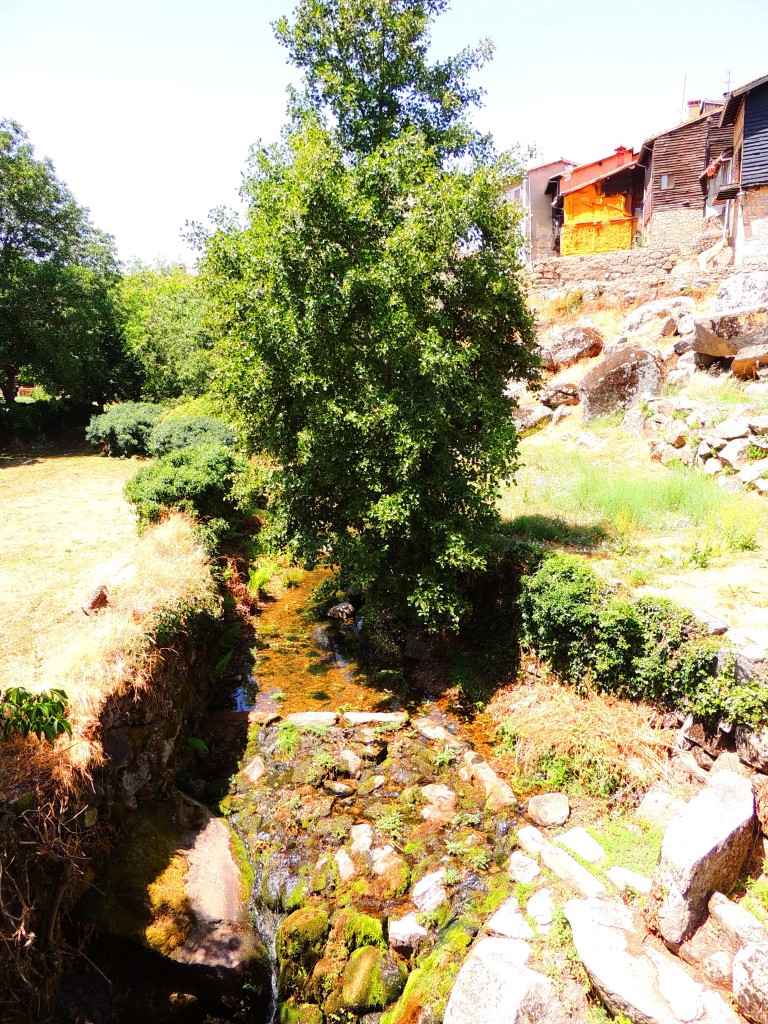 Foto de La Alberca (Cáceres), España