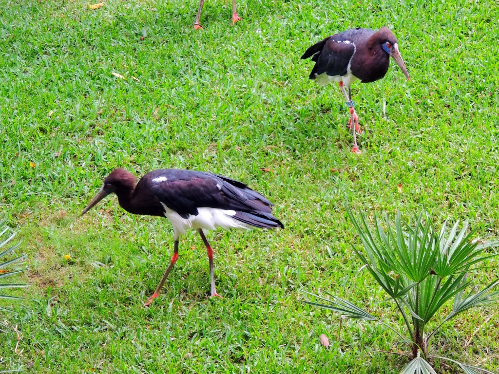 Foto de Fuengirola (Málaga), España