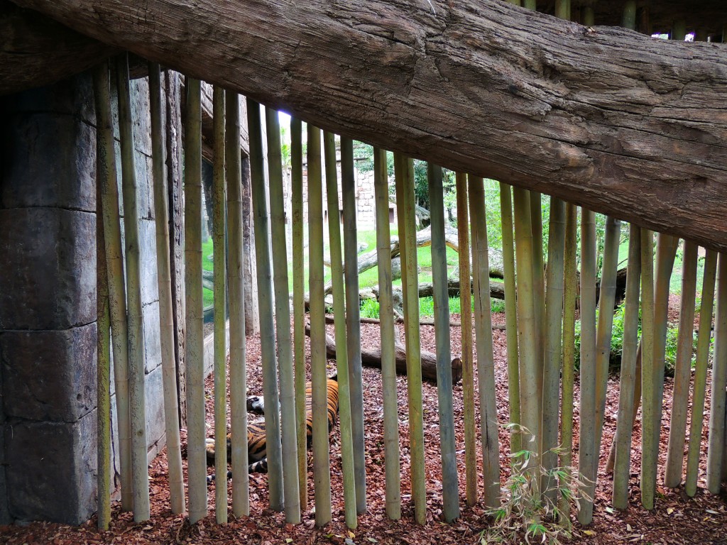 Foto de Fuengirola (Málaga), España
