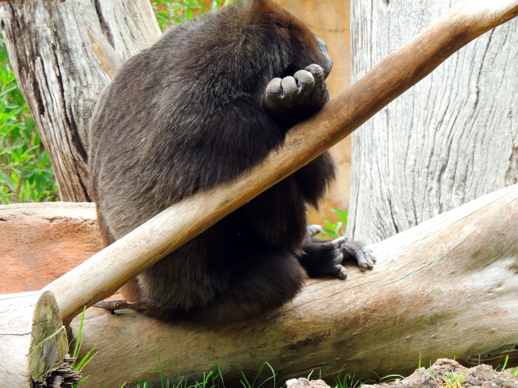 Foto de Fuengirola (Málaga), España