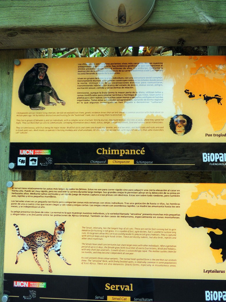 Foto de Fuengirola (Málaga), España