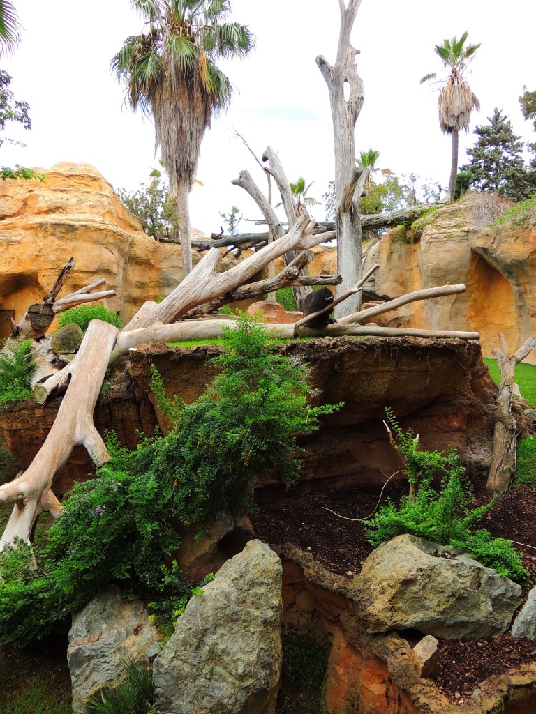 Foto de Fuengirola (Málaga), España