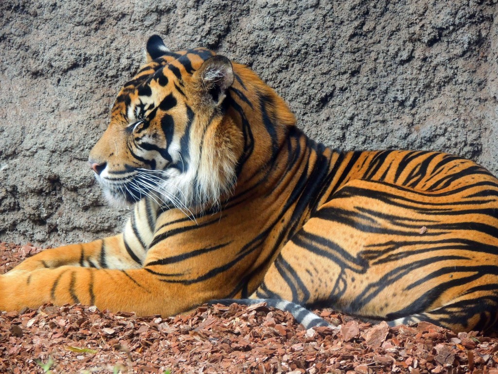 Foto de Fuengirola (Málaga), España