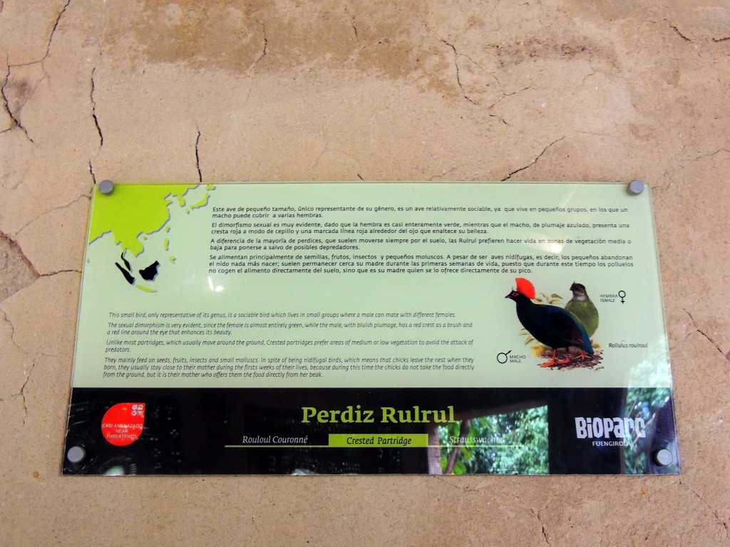 Foto de Fuengirola (Málaga), España