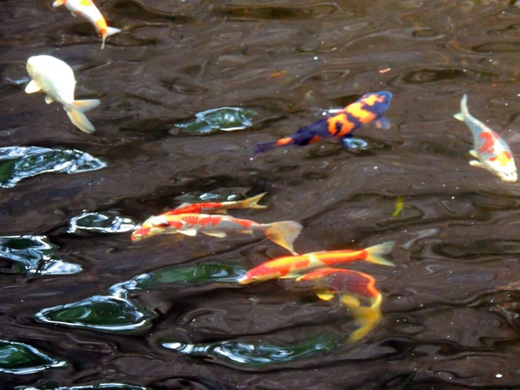 Foto de Fuengirola (Málaga), España