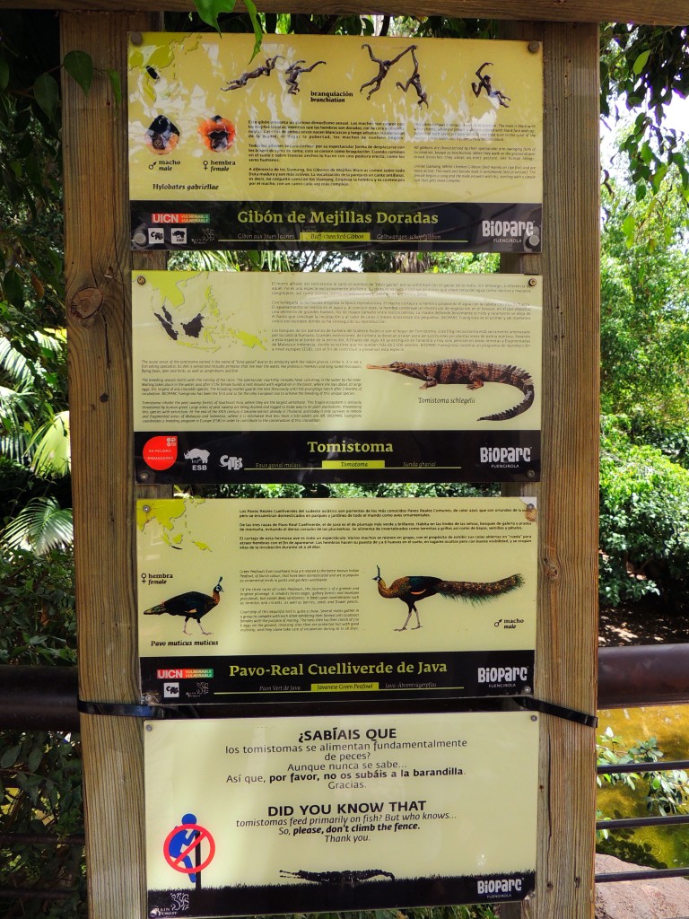 Foto de Fuengirola (Málaga), España