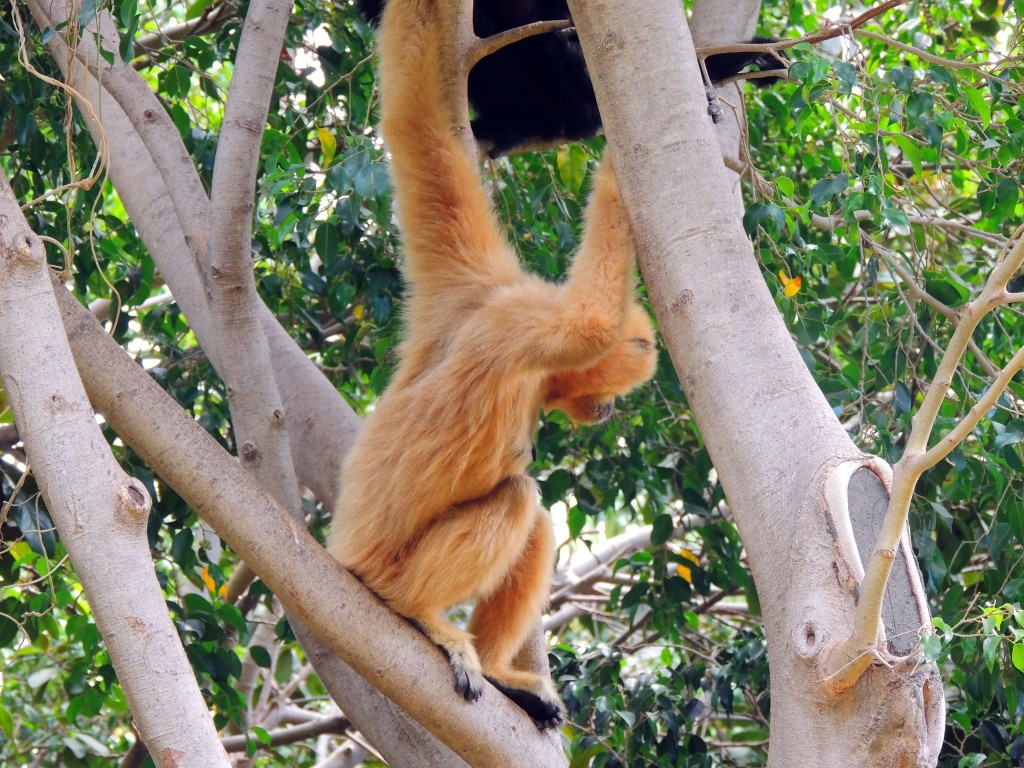Foto de Fuengirola (Málaga), España