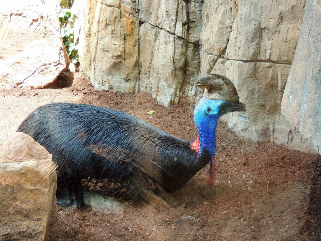 Foto de Fuengirola (Málaga), España