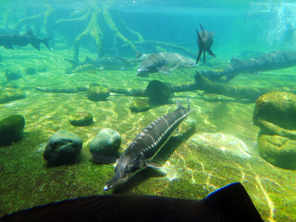 Foto de Fuengirola (Málaga), España