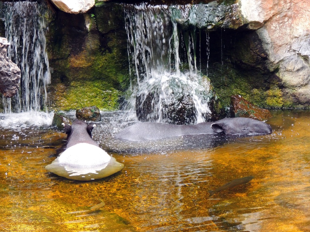 Foto de Fuengirola (Málaga), España