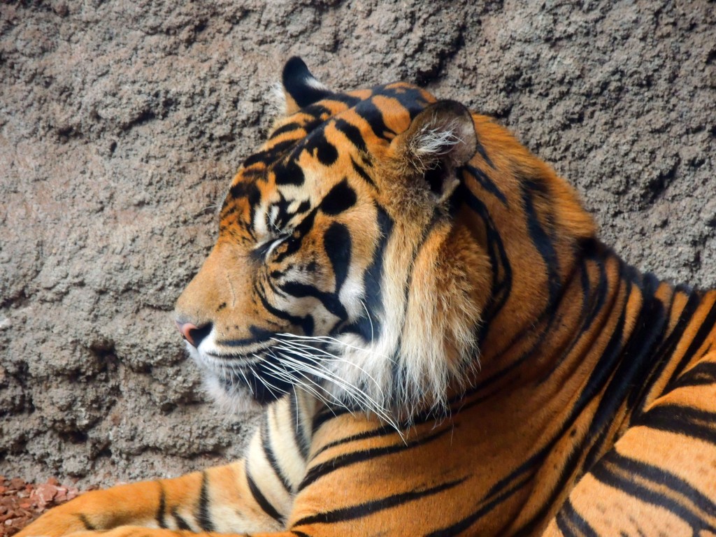 Foto de Fuengirola (Málaga), España
