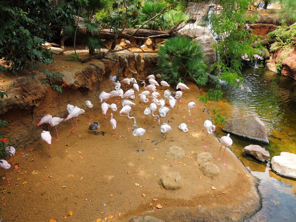 Foto de Fuengirola (Málaga), España