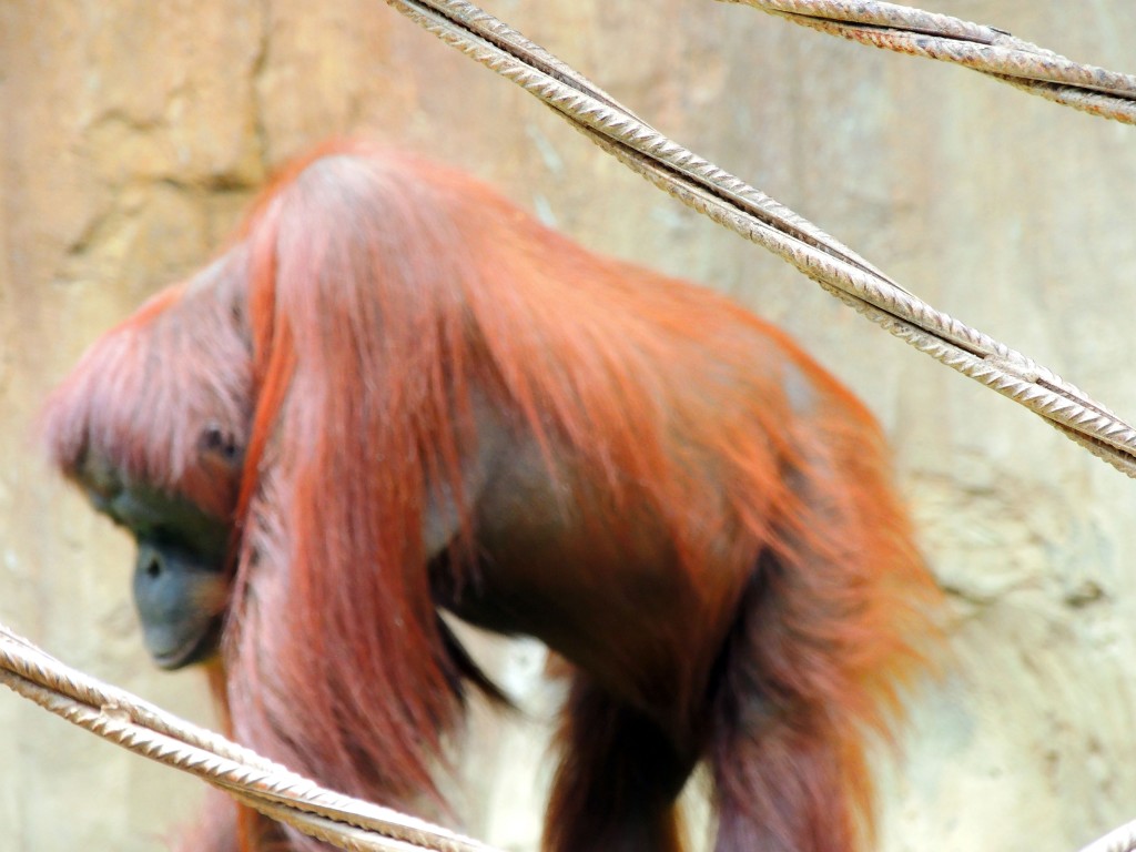 Foto de Fuengirola (Málaga), España