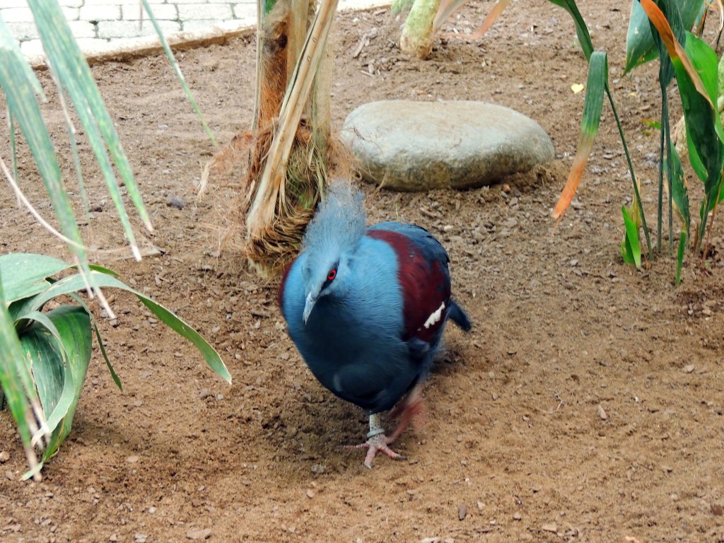 Foto de Fuengirola (Málaga), España