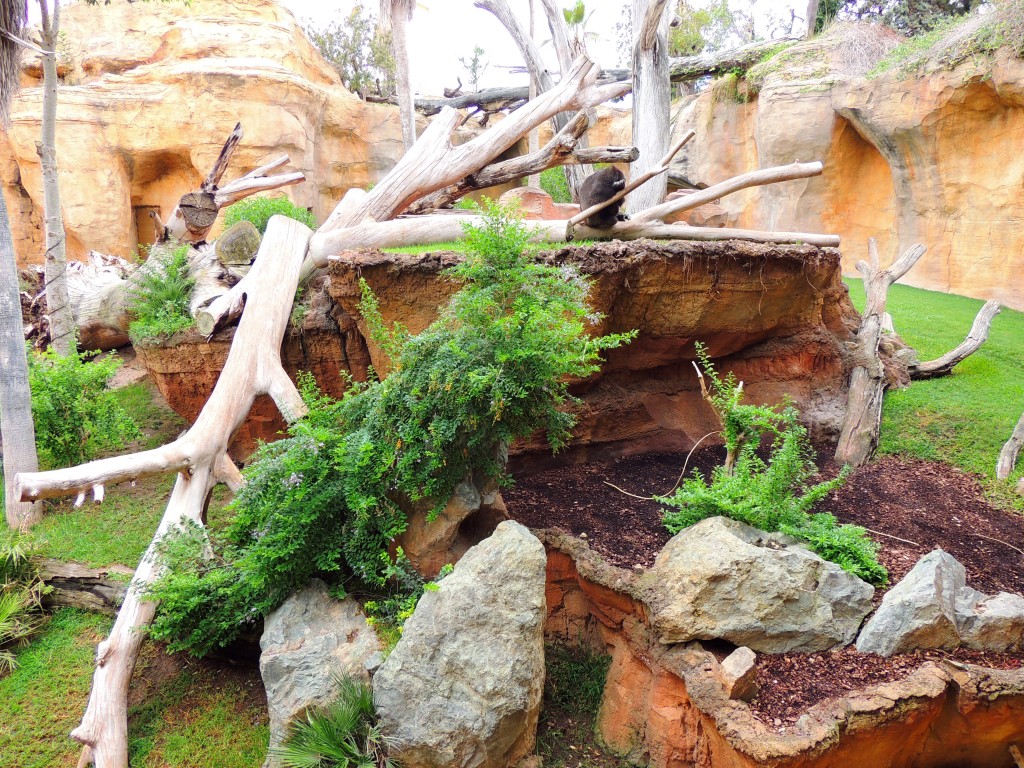 Foto de Fuengirola (Málaga), España