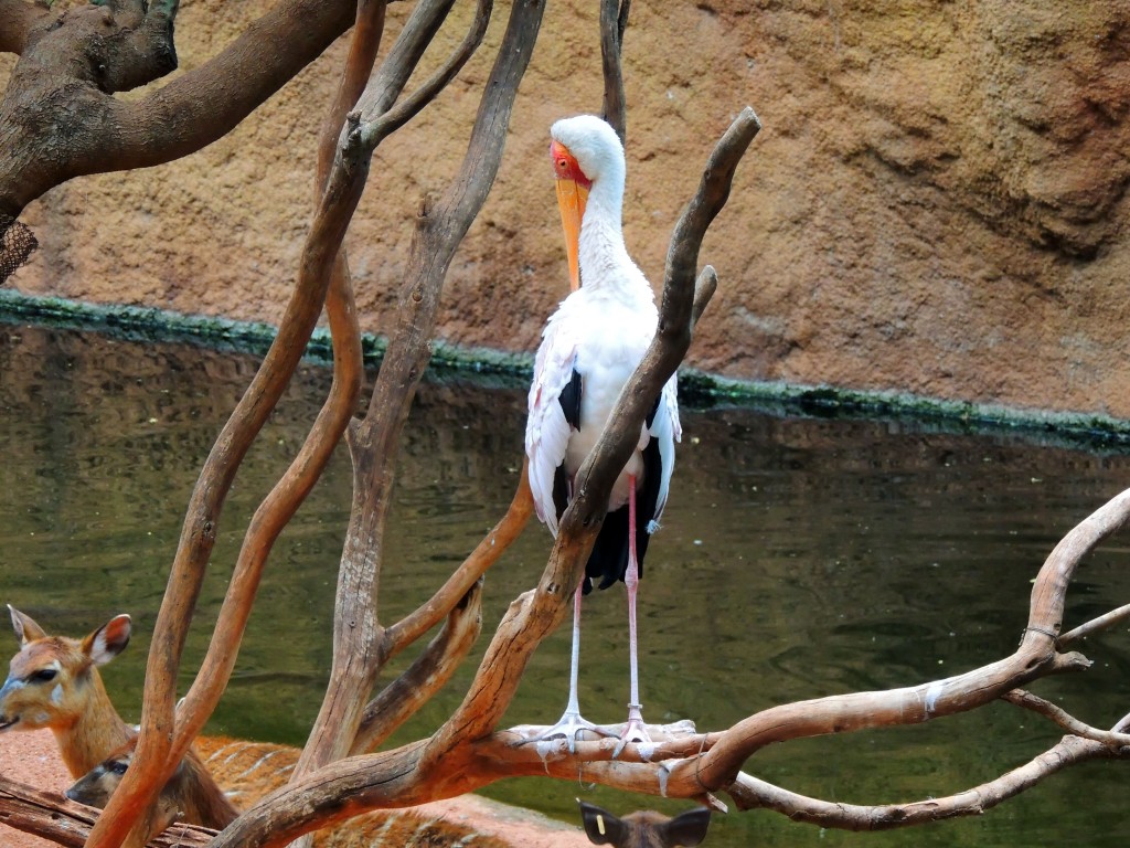 Foto de Fuengirola (Málaga), España