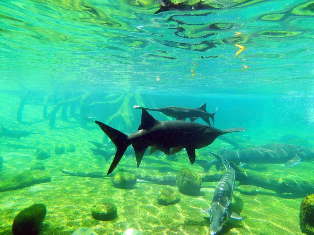 Foto de Fuengirola (Málaga), España