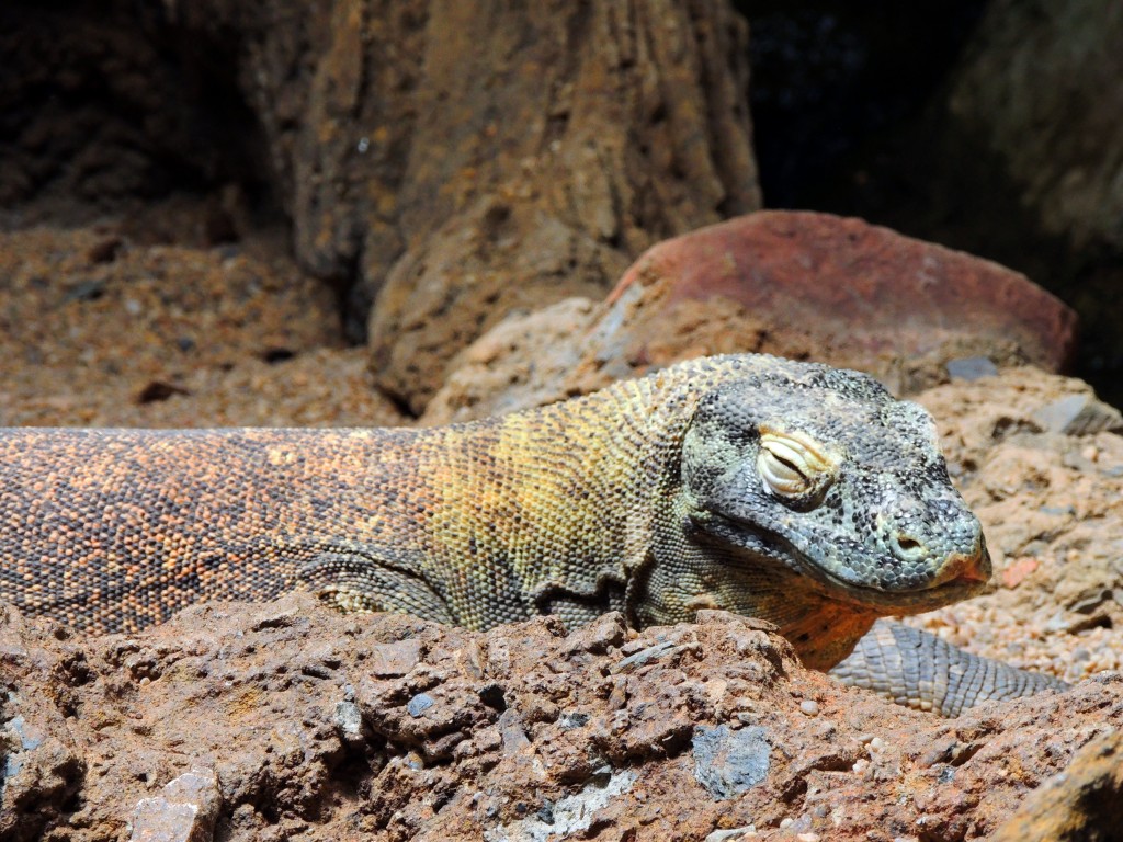 Foto de Fuengirola (Málaga), España