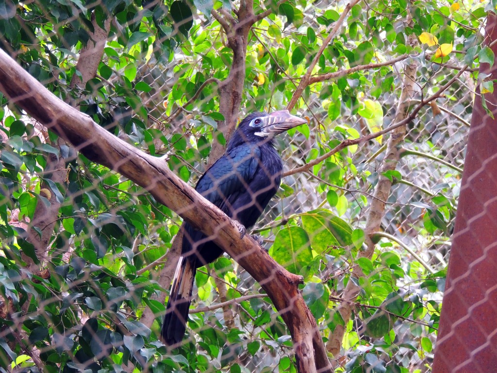Foto de Fuengirola (Málaga), España