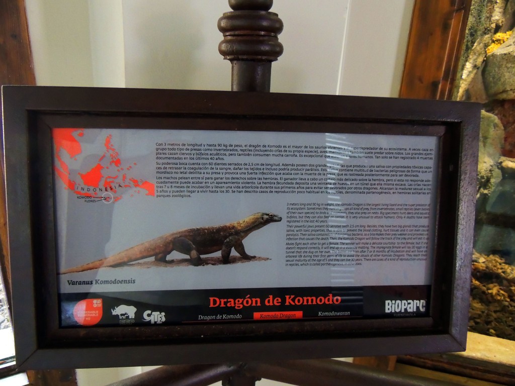 Foto de Fuengirola (Málaga), España